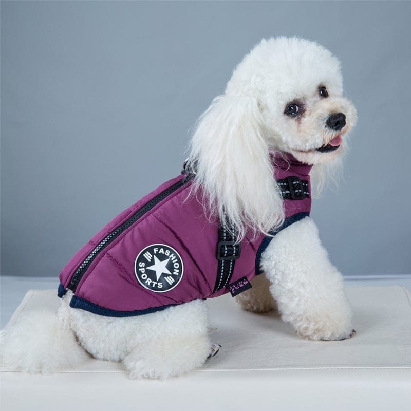 Waterproof Pet Harness Vest - www.mytooluse.com
