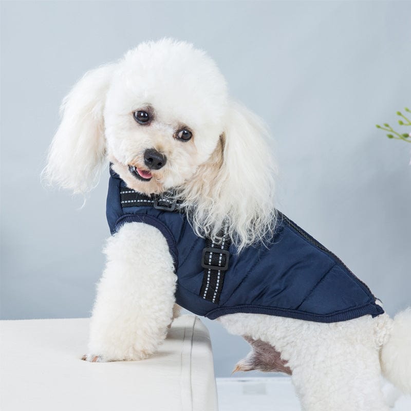 Waterproof Pet Harness Vest - www.mytooluse.com